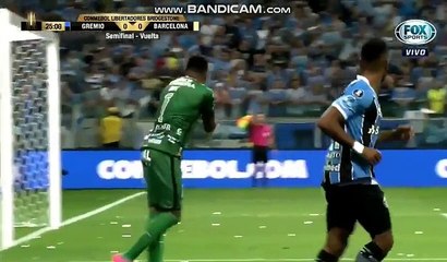 Gremio RS vs Barcelona Guayaquil 0-1 ~ Goal & Highlights