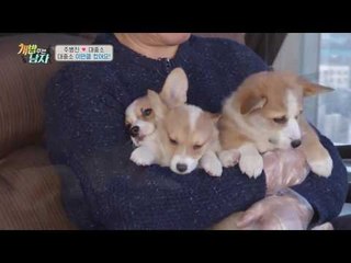 [미공개]훌쩍 커버린 대중소! 과거 핵귀욤 시절 大공개!