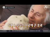 성큼 다가온 ‘애완 로봇’_채널A_뉴스TOP10