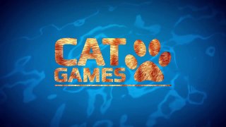 CAT GAMES - FISHING (VIDEOS FOR CATS TO WATCH)