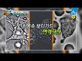 [예고] 내 몸속 보디가드 ‘면역군단’을 지켜라!