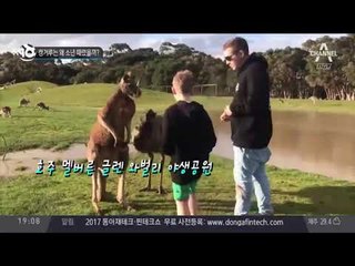 계란 6500개로 만든 오믈렛_채널A_뉴스TOP10