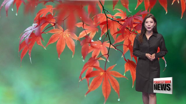 Cool and partly cloudy day, chillier air on the way _ 110217