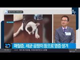 맹견 아니어도 ‘반려견 공포’