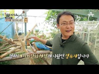 앵무새를 키워 돈 버는 남자! 연 매출 1억 원의 비결은?!