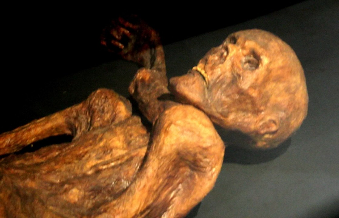 Quem Matou Otzi? [Dublado] Documentário [HD]