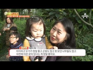 한겨울 강추위 속, 열대식물 가득한 대전 한밭수목원