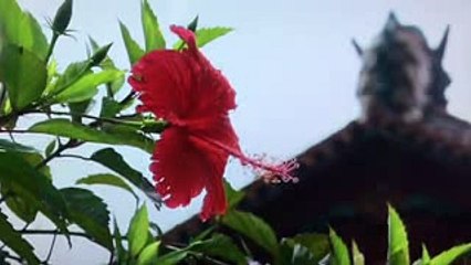 NHKスペシャルドラマ沖縄