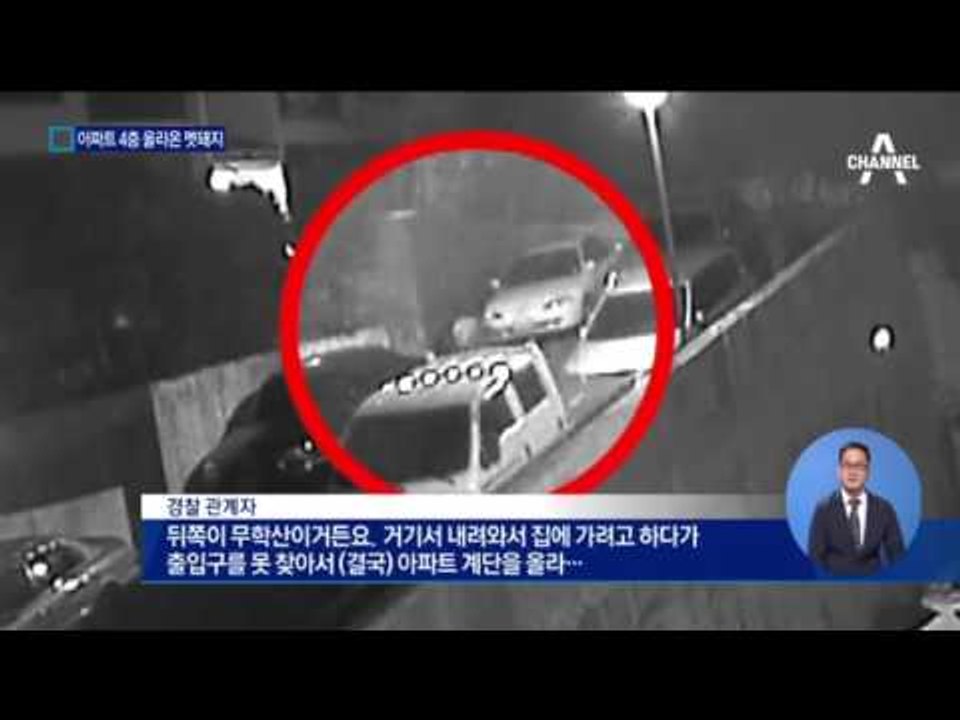 아파트 4층까지 돌진한 멧돼지…CCTV 영상