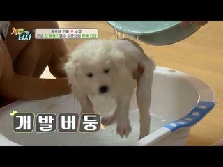 맹수 수호와 목욕 전쟁! 아내까지 불러 합동 목욕 작전~♥