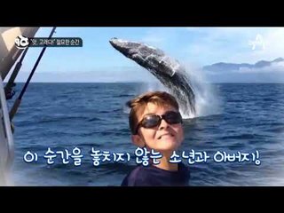 “앗, 고래다!” 절묘한 순간