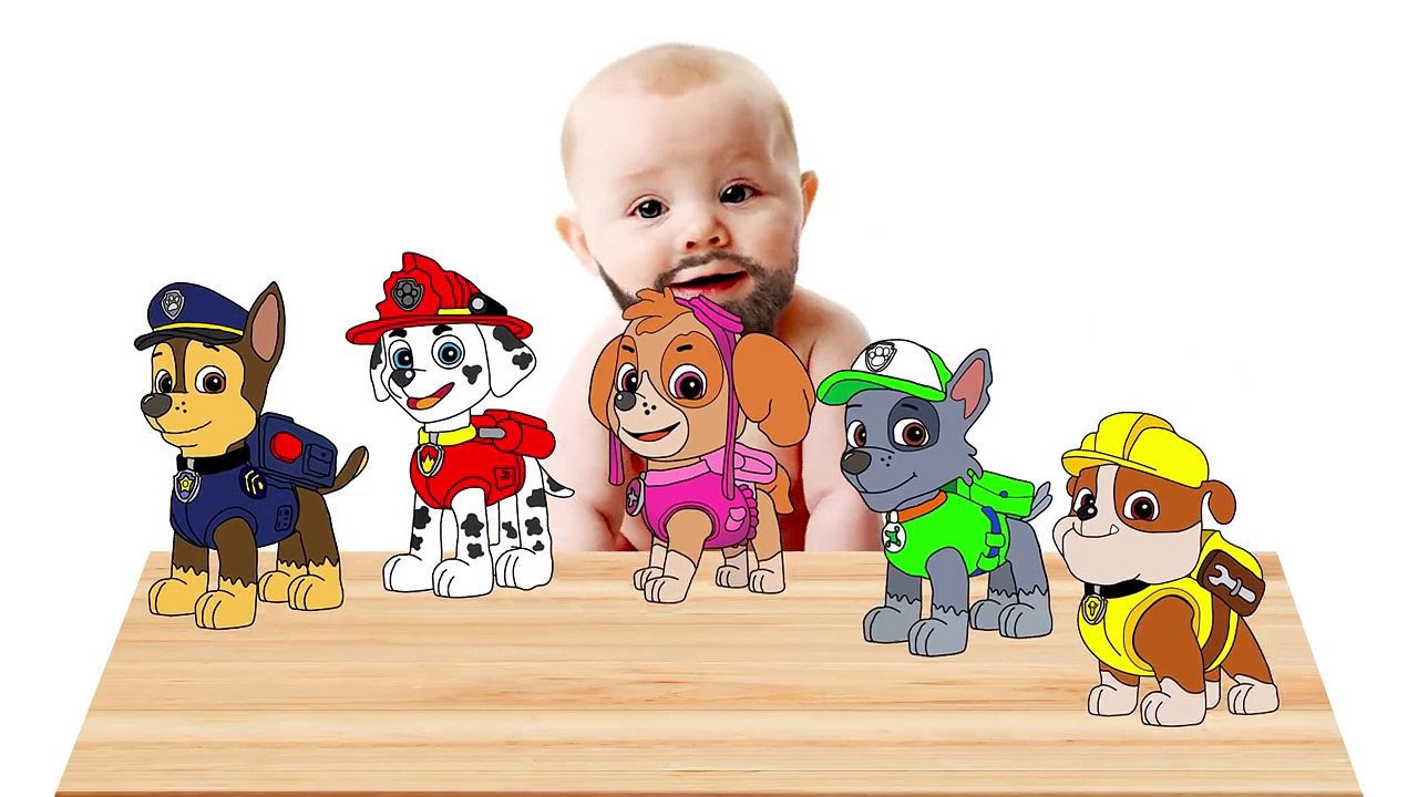 BEARDED BABY CRY with PAW PATROL and TOM and Jerry! POP CAKE! FINGER FAMILY! Video for toddlers!