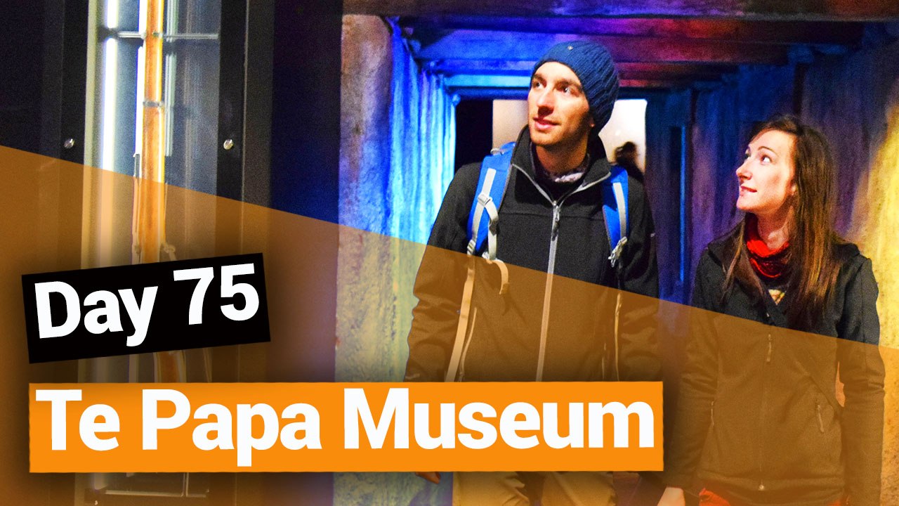 Te Papa Museum in Wellington - New Zealand's Biggest Gap Year – Backpacker Guide New Zealand