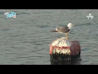 맑은 하늘 보기 어려운 주말, 궂은 날씨 예상