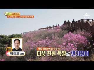 먹고 보고 걷고, 고려산 진달래 축제