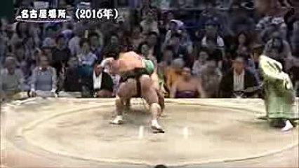 [大相撲] 名勝負 日馬富士 対 嘉風 2番
