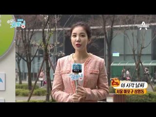 오늘도 내내 흐린 날씨, 짙은 안개까지