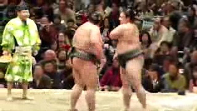 JAPANESE FANNY SUMO sumo wrestling SHOW