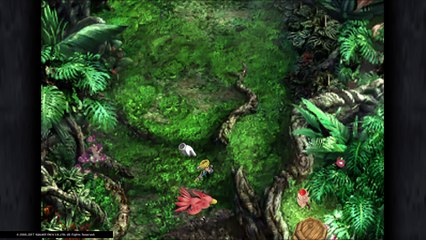 FF9　ここほれチョコボ　チョコボの森　山チョコボ