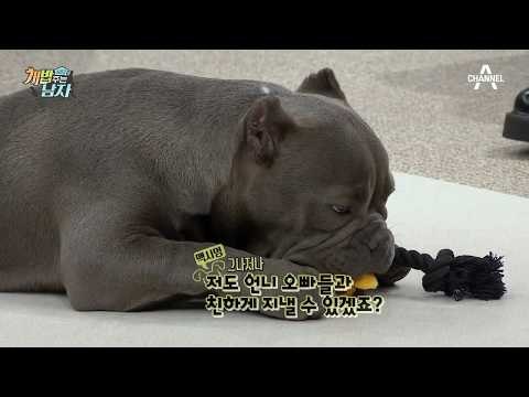 강형욱 훈련사가 말하는 반려견의 생각을 읽는 법.avi