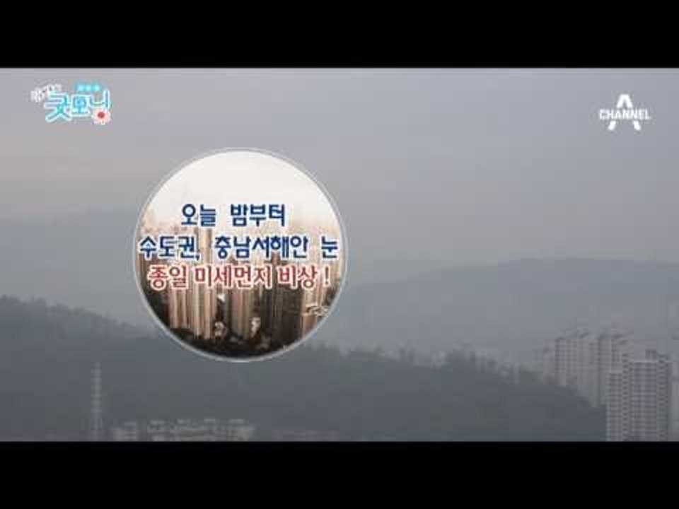 종일 미세먼지 비상!!