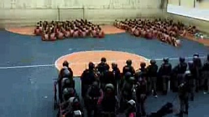 Companhia de Cães dá PMAM