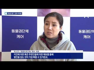 현상금 걸고 “고양이 학대범 꼭 잡아주세요”