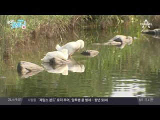 한차례 비가 내려 더위 잠잠해진 오늘 날씨, 내일 날씨는?