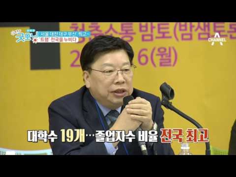 서울 대전 대구 부산 찍고! 트램, 전국을 누비다