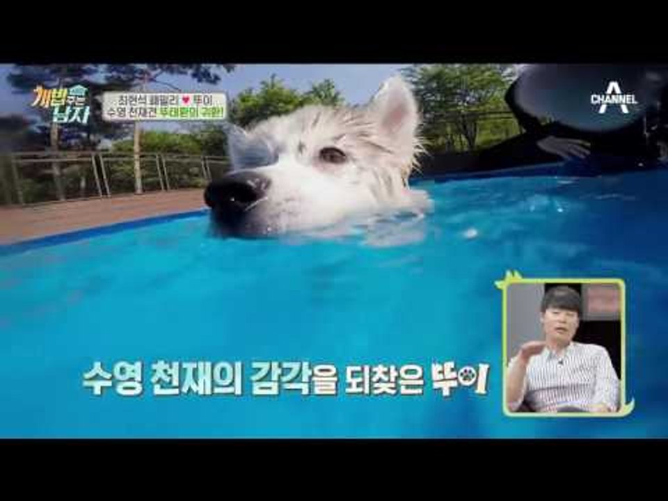 돌아온 수영 천재 뚜이! 스피디한 수영 아~주 칭찬해♥