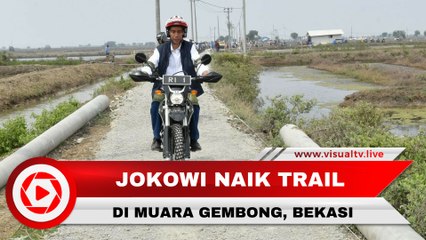 Naik Trail di Muara Gembong, Jokowi Sapa Warga dan Lintasi Jembatan Gantung