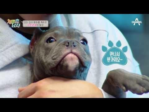 20년 차 견주 강타, 러블리한 반려견 4마리 大 공개!