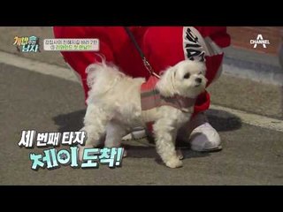 맥시멈, 친해지길 바라! 리와인드 첫 만남 시도! (feat. 강타 꿀보이스)