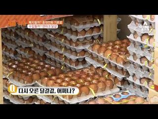 달걀값 또 올랐다! 덴마크 달걀 수입될까?