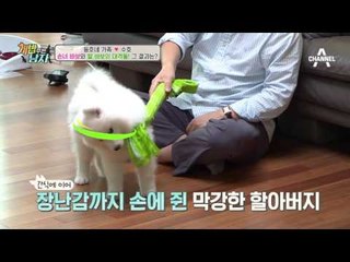 귀여운 수호를 가지고 싸우는 동호네 가족?!