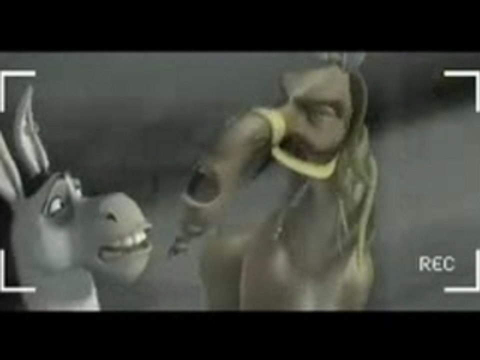 Donkey Xote antipirateria