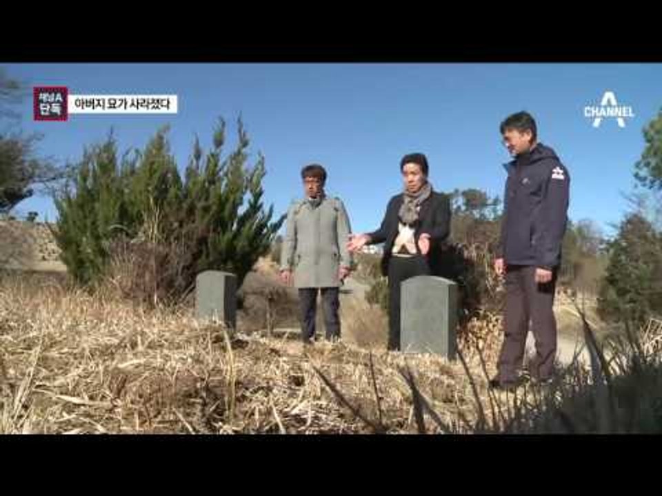 [채널A단독]감쪽같이 사라진 아버지 묘, 무슨 일이…