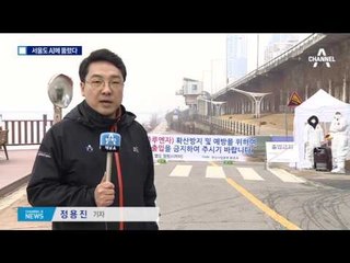 서울도 AI 뚫렸다…비둘기 괜찮나