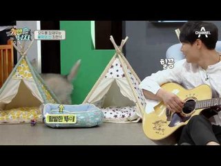 포기를 모르는 음악의 신 최현석! 뚜이는 지금 음악 들을 생각이 없다스키♥