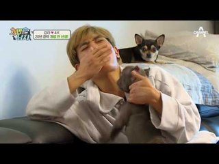 [유혈사태] 먹방야수(?) 맥시멈 대피령! 강타네 3犬의 폭풍 생존기!