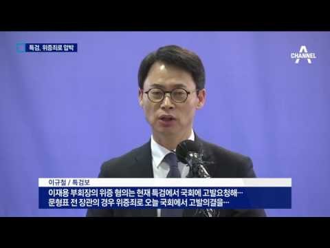 “구속 사유 충분”…특검 신무기 ‘청문회 위증죄’