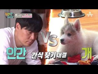 (사뭇 진지) 최현석 셰프 vs 아가犬 뚜이, 세기의 간식 찾기 대결!