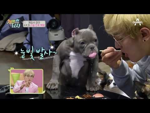 [특종] 강타, 여자 친구가 싸준 도시락 공개?!