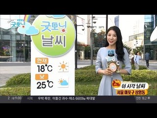 오늘 날씨, 비교적 선선하고 미세먼지도 없어. 주말 날씨는?