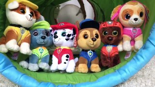 PAW PATROL Toys Skye BIRTHDAY Surprise L.O.L Doll Opening!-344UNt95tJc