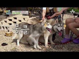 뚜이 '감동의 순간', 몰래온 손님의 정체는?