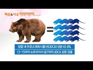 뉴트리아 잡으러 갑니다 웅담 품은 ‘괴물쥐’ 잘못 먹으면?