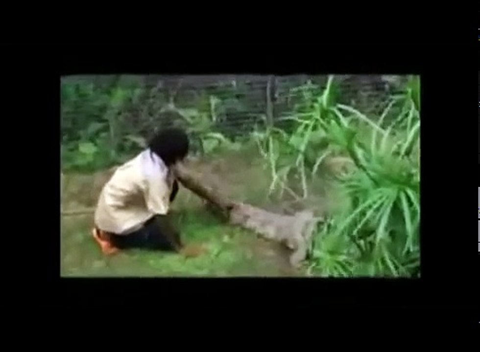 Хищники атакуют! Нападение животных на людей
