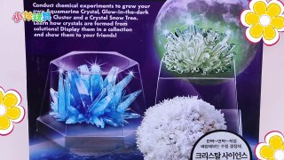 挑戰种水晶？！超美水晶crystal手工DIY！小伶玩具 | Xiaoling toys