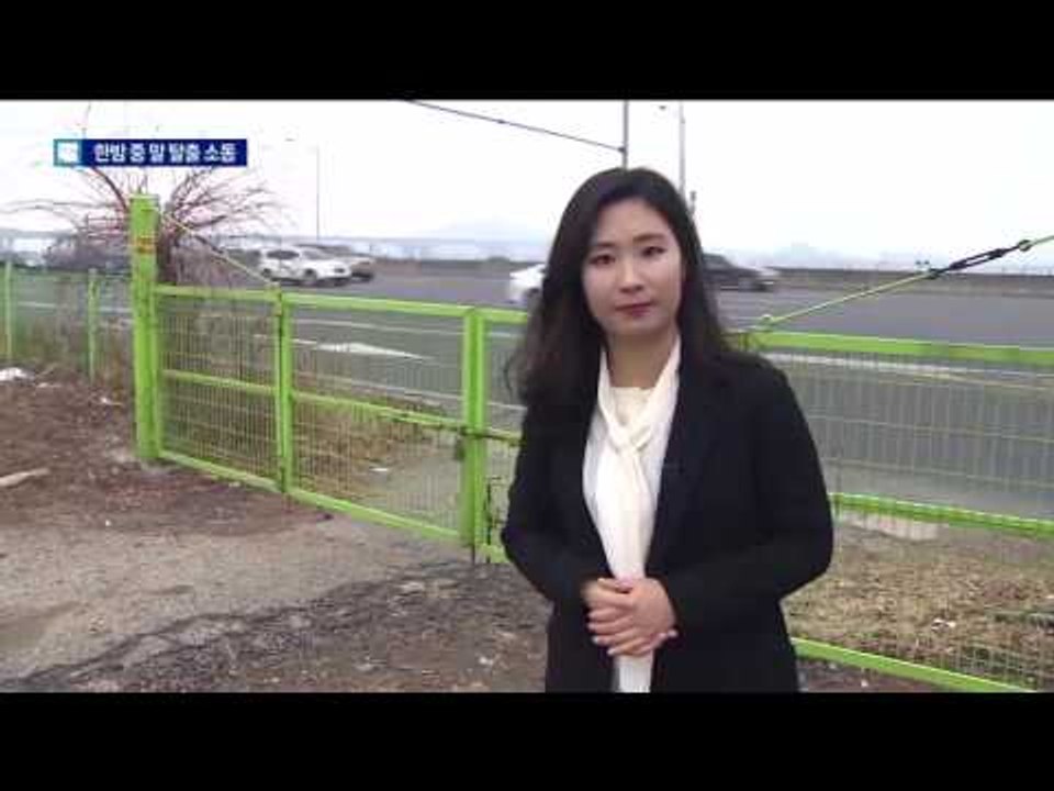 자유로 한복판 말 4마리 출몰…도로 역주행